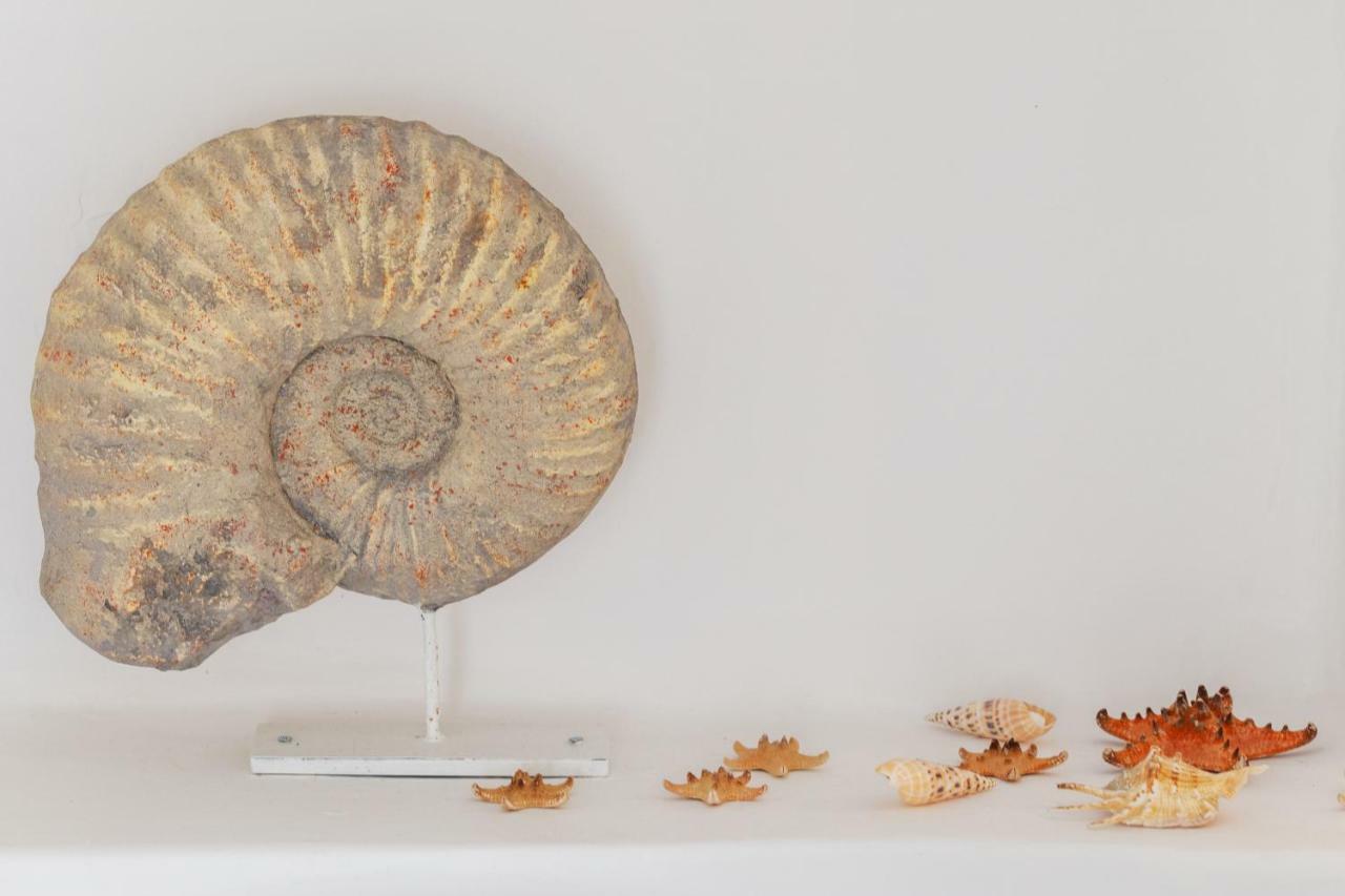 Casa Do Pescador By Ammonite&Co Villa Olhão Eksteriør billede
